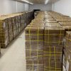 Bộ áo liền quần chống hoá chất, phòng dịch VinGuard 2000 - 131238698 10208063874110068 5156862088102766203 o