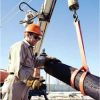 Dây cáp cẩu hàng 1Tx6M - day cap cau hang 04 1