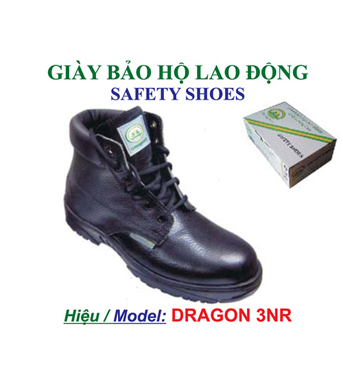 GIAY BAO HO DRAGON 3NR V