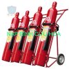 nap binh co2 mt24