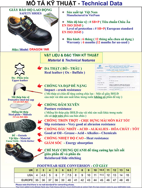 thong so ky thuat giay bao ho dragon nr1
